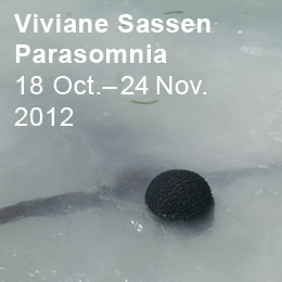 Viviane Sassen - Parasomnia 18 October‚Äì3 November, 20