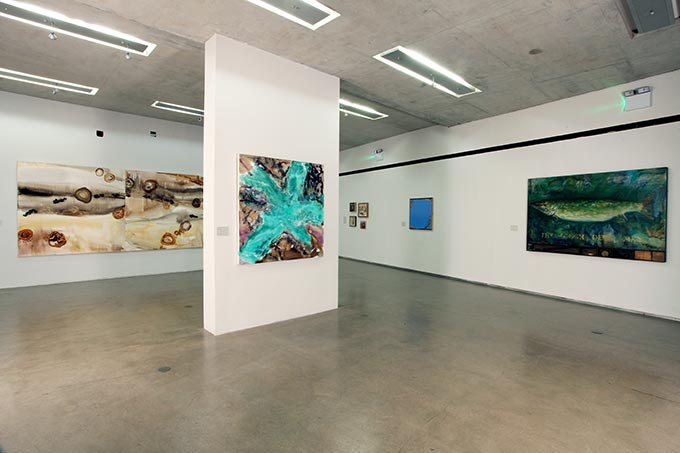 Barrie Cooke Exhibition at the Crawford Gallery. Photo by Dara Magrath