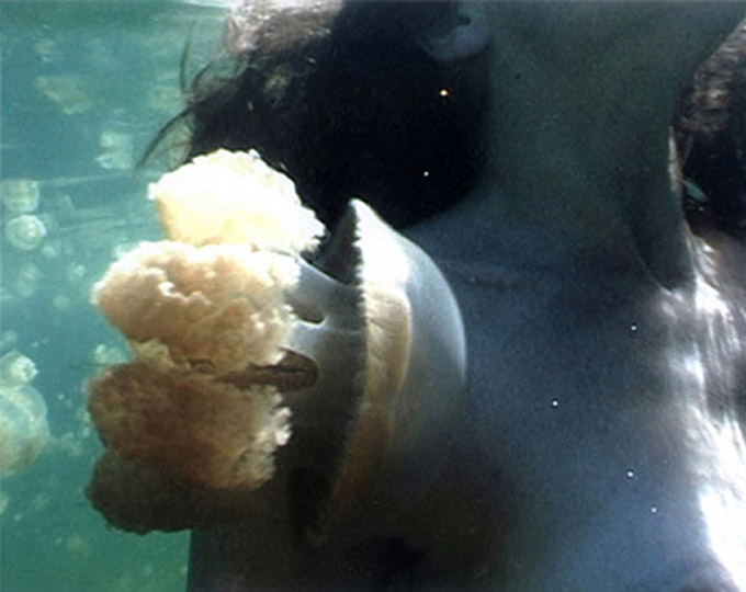 Dorothy Cross Jellyfish Lake Image Still from DVD © the Artist