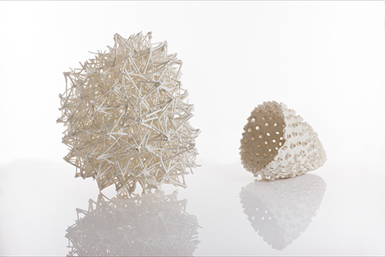 Image Credit:
Nuala O'Donovan, 
Radiolaria & Elisabeth Fern, Porcenain, F22 Photography