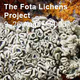 Fota Lichens Project