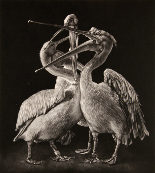 Image © Aoife Layton, Clash (2018) 