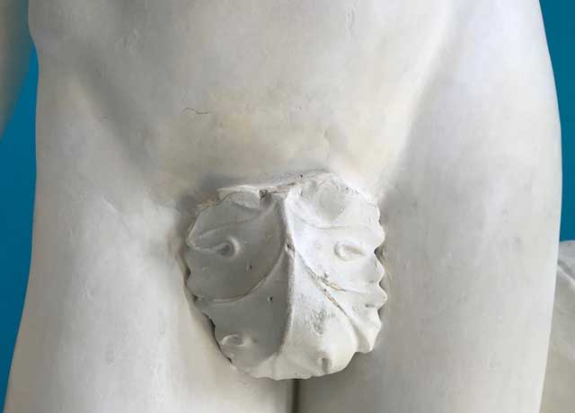 The Fig Reveal
17–21 & 24–28 June 2019 