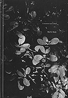 Martin Healy A moment twice lived