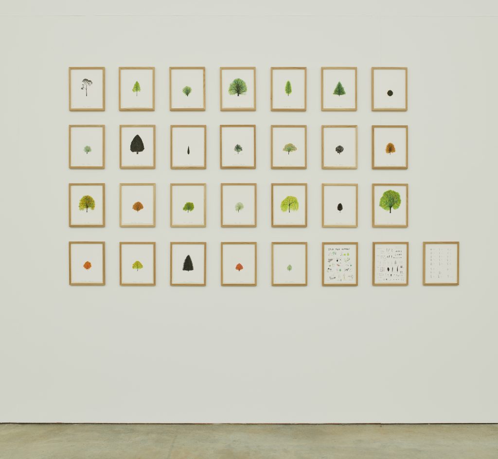 Image:  Katie Holten, Irish Tree Alphabet, 2020, vinyl wall drawing. Installation view, VISUAL Carlow. Photo by Ros Kavanagh. Courtesy the artist and VISUAL Carlow.