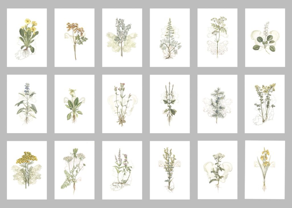 Image: Jennifer Trouton 'Mater Natura-The Abortionist’s Garden', 2021, embroidery. Courtesy of the Artist.