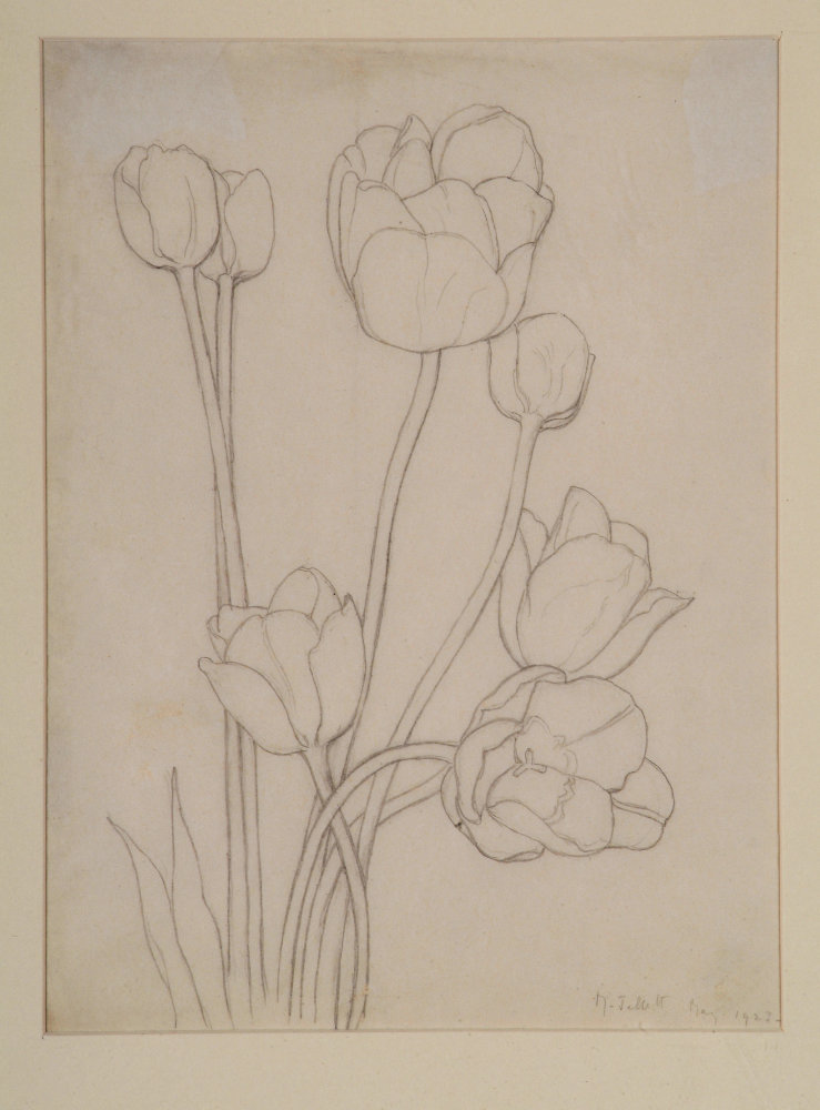 1490-P M Jellett Tulips