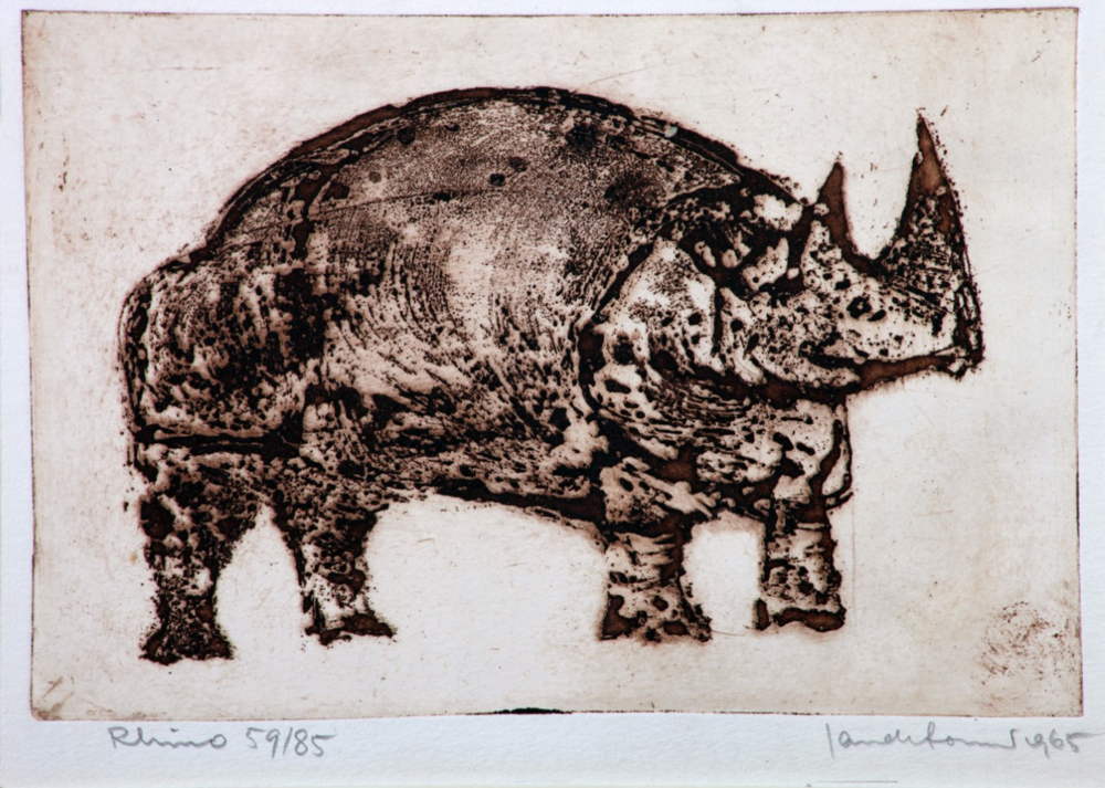 Image credit: Rhino, 1963, Etching, Jan De Fouw, Crawford Art Gallery