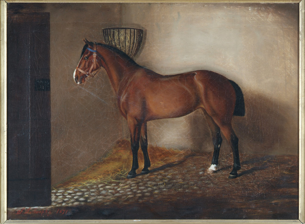 489-P LJ Murphy Bay Horse