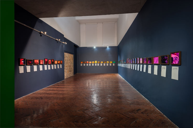 'Saturation' at Crawford Art Gallery - Cork, Ireland - 2022 / Photograph Jed Niezgoda - www.jedniezgoda.com