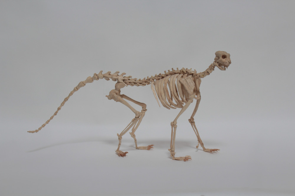 Image: Peter Nash, 'Domestic Animal', 2018, found timber, carved beechwood, steel wire, lace pins. Courtesy of the Artist.