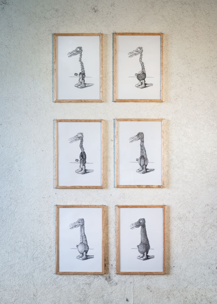 Image: Peter Nash ‘Alternative Anatomies’ (1-6), 2018, Indian ink drawing on paper in custom-made frames. Photo: Jed Niezgoda. 