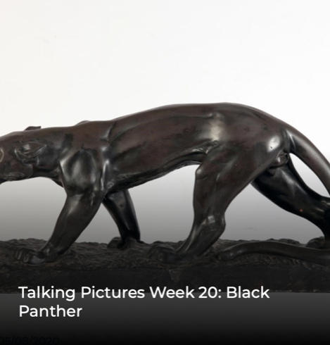 Black panther