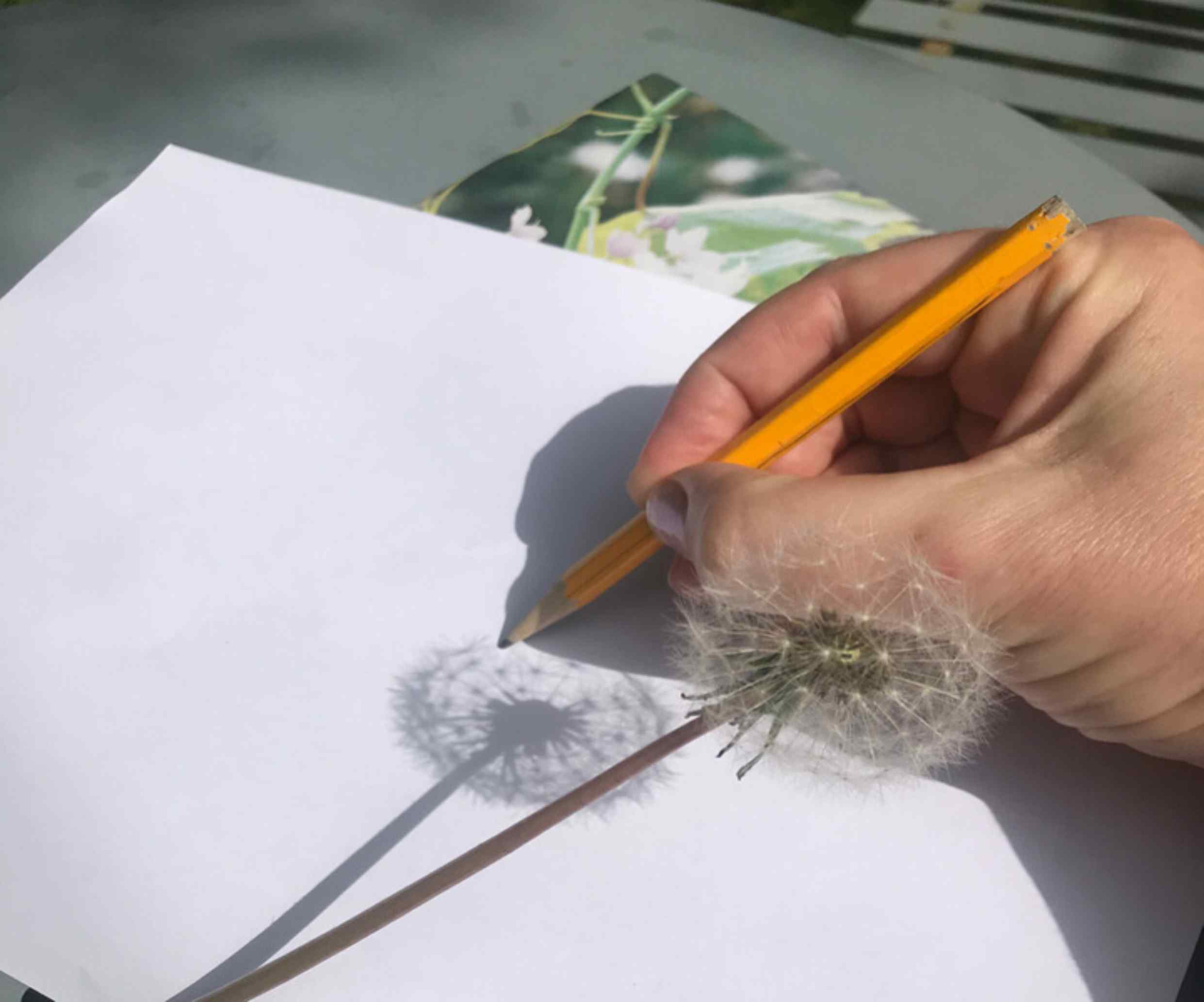 CAG Sunshine Drawing & Painting with Avril O Brien