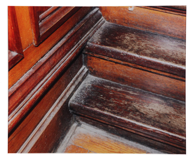 Danny McCarthy, A Keeper of the Dust (for Joseph Beuys), 2011, Lambda print (series of 5), 175 cm. Purchased, the Artist, 2011. © the artist