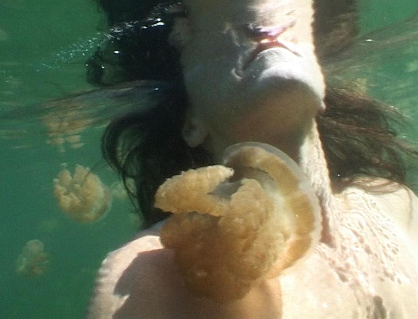 Dorothy Cross, Jellyfish Lake, 2002, DVD, 6 minutes. Purchased, 2003. © the artist_