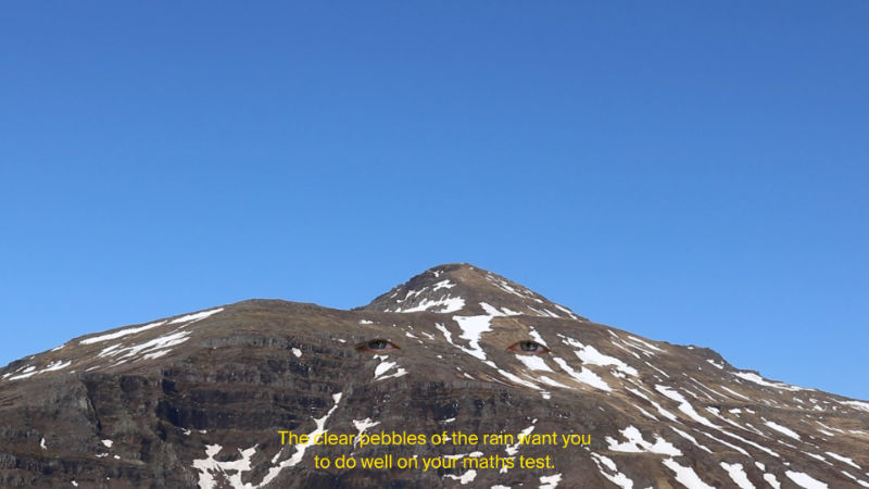 Elinor O’Donovan, 'Wild Geese 2_ Wilder Geese', 2023. Film Still. Courtesy and © the artist. Selected for AFI’25 by Crawford Art Gallery, Cork, Ireland.2