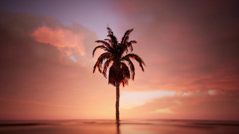 Feint Recollections of a Time Beyond, 2024, video still. Courtesy of the artist.