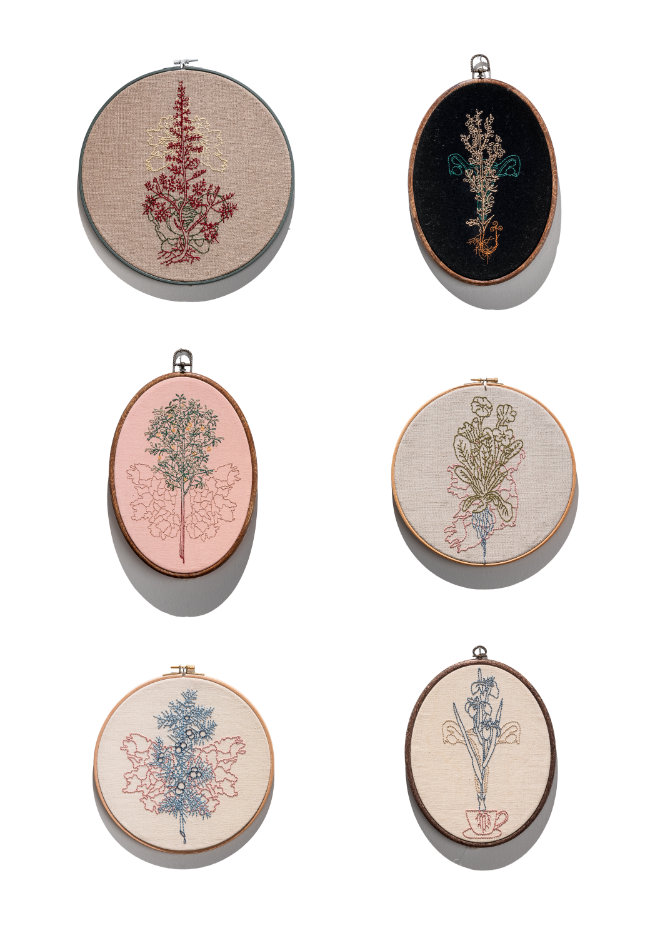 'Following Threads' exhibition at Crawford Art Gallery, Cork, Ireland 2023 / Photograph Jed Niezgoda - jedniezgoda.com