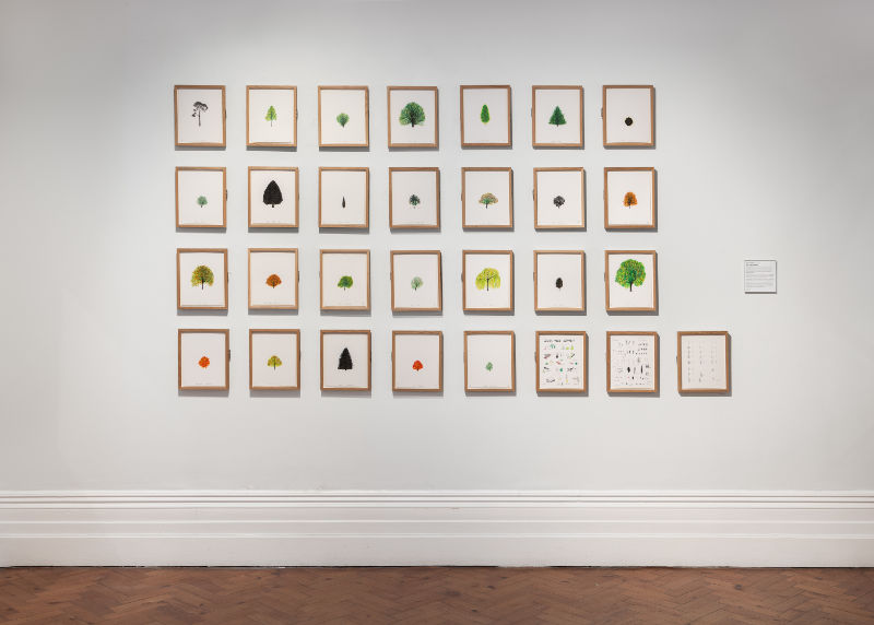 'Botanica' - Crawford Art Gallery - Cork, Ireland - 2022 / Photograph: Jed Niezgoda - www.jedniezgoda.com