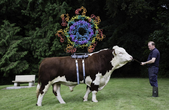 Maria McKinney, Longevity / Apoptosome, Black Water Lad (HE2067) 2016, Archival pigment print, 125 x 225 cm. Copyright the artist