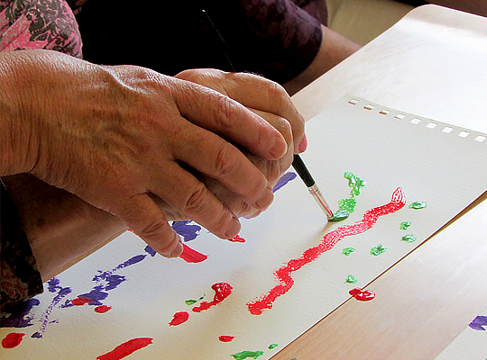 Lonradh Programme in St. Finbarr’s Hospital 2019