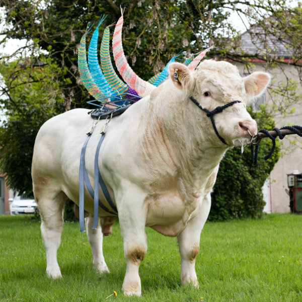 Meat and Potatoes PR