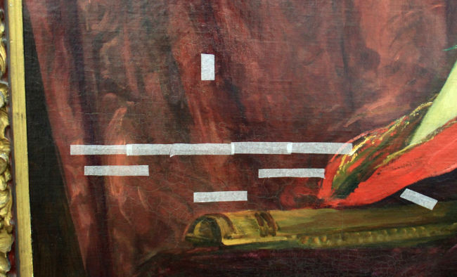 Red Rose Conservation