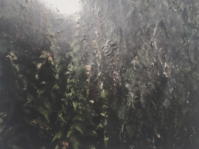 Sarah O’Flaherty, Veiled (Tunnel).3, 2020, photographic print on Hahnemühle paper, 45 x 60 cm. Purchased, the Artist, 2021. © the artist