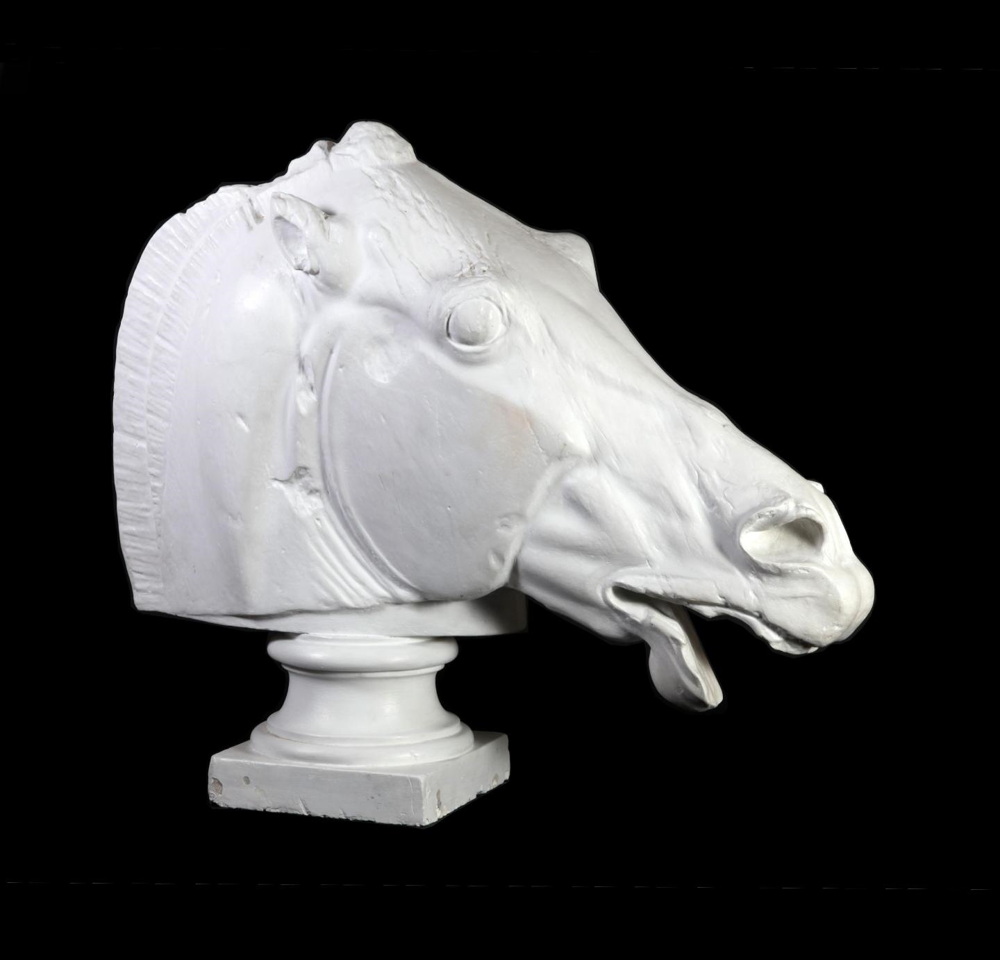 Head of Horse from Selene’s Chariot, 19th century, plaster cast. © Crawford Art Gallery