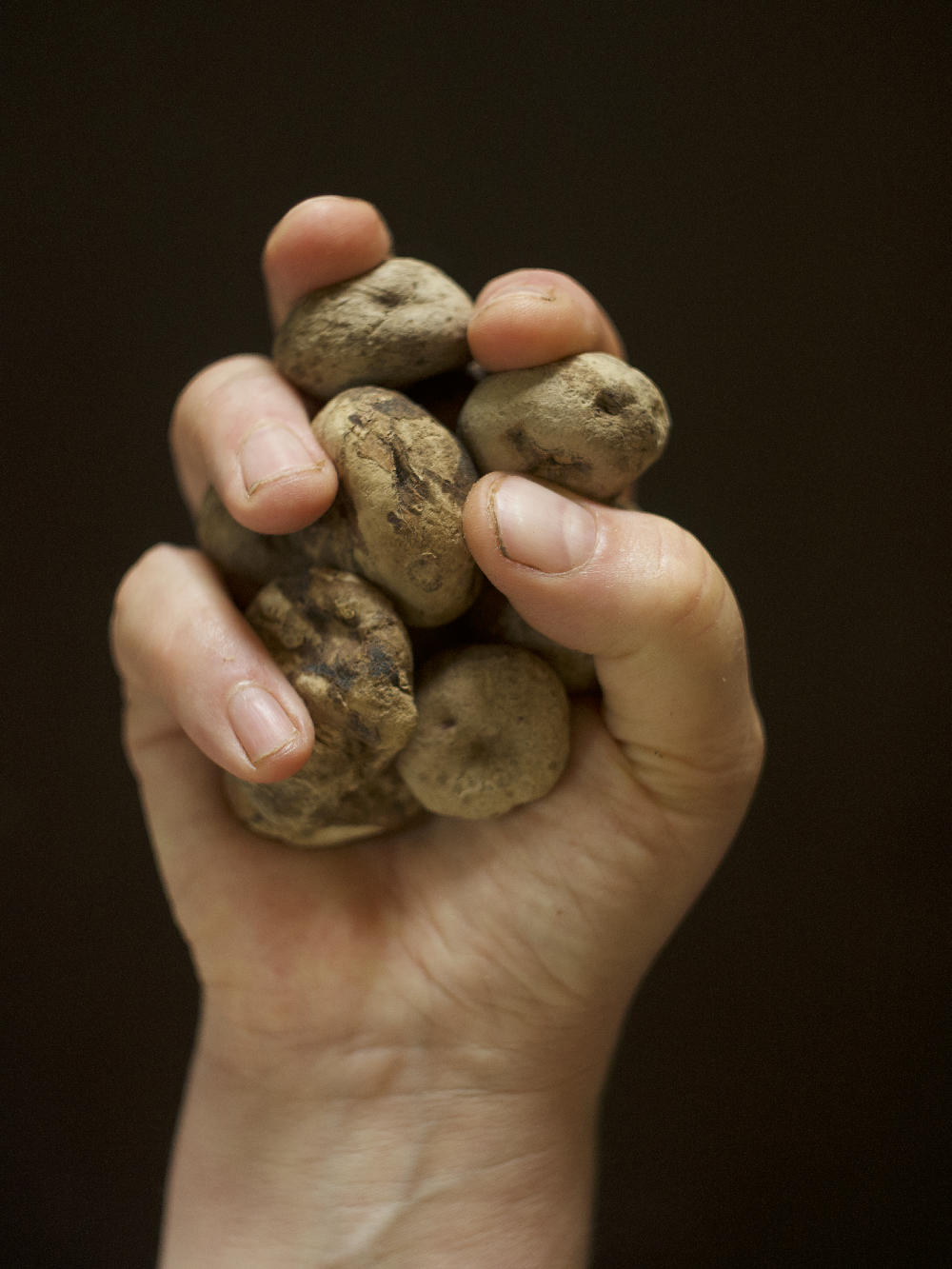 The Persistent Return Still 2 Photograph Tom Flannagan 2018