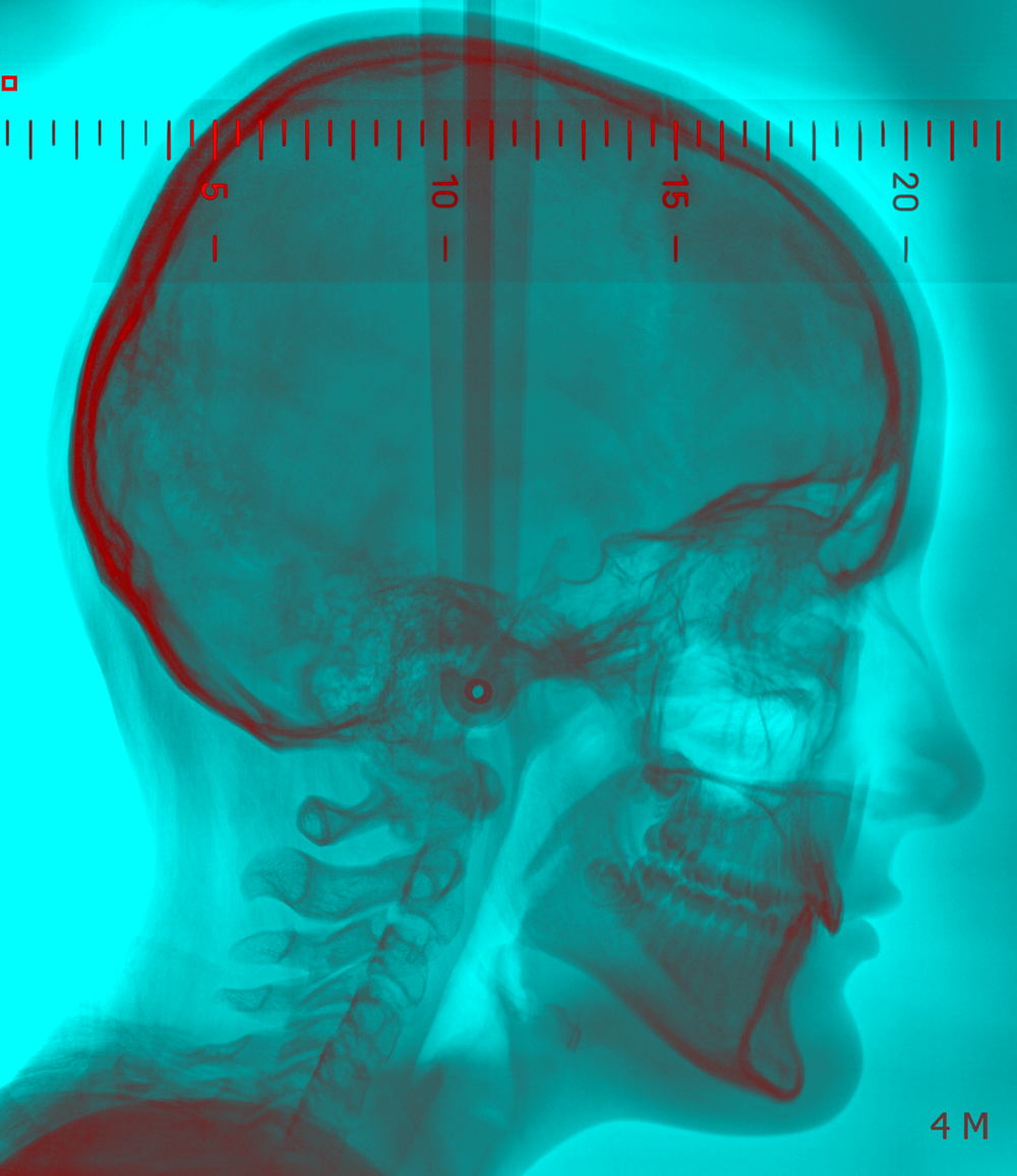 The School of Looking, I Can See Right Through You (detail), 2020, mixed media. © The School of Looking_