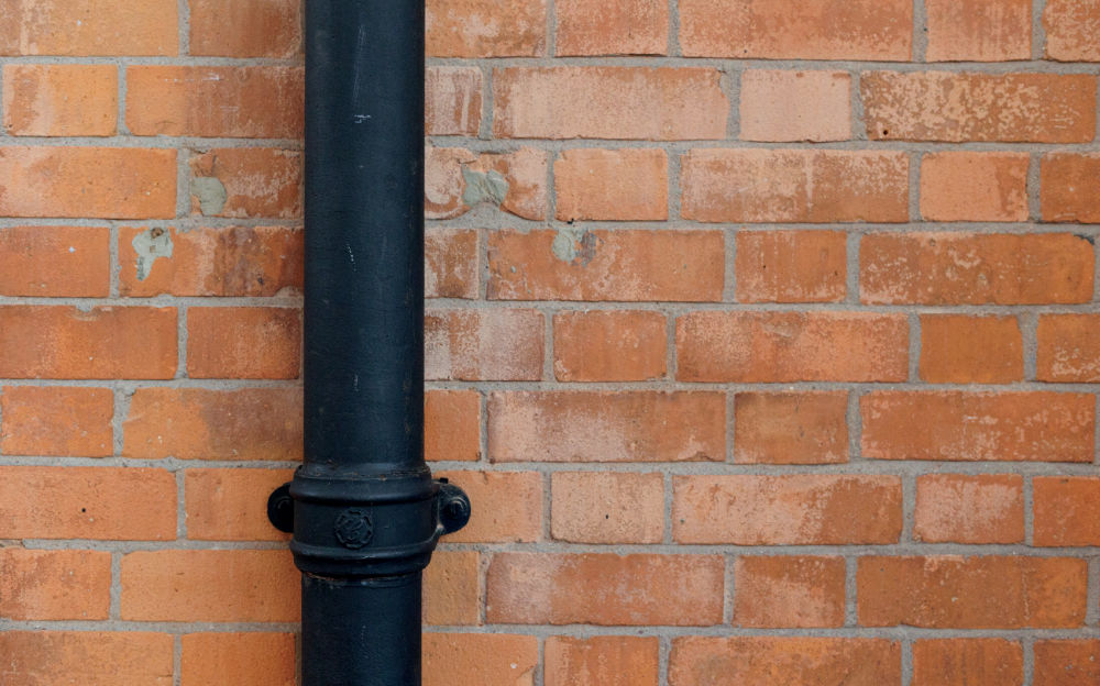 Fiona Linnane Cogarnach, 2023 @ the artist