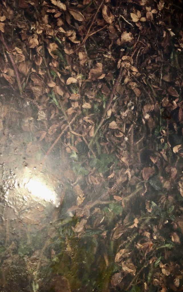 Image: Sarah O'Flaherty, Veiled 1 (Tunnel), chromogenic prints. Courtesy of the Artist.