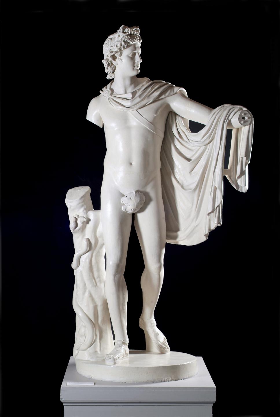 Apollo Belvedere, c.1816, plaster cast after marble copy of bronze original by Leochares, 243 x 120 x 78 cm. Photo: Jed Niezgoda.