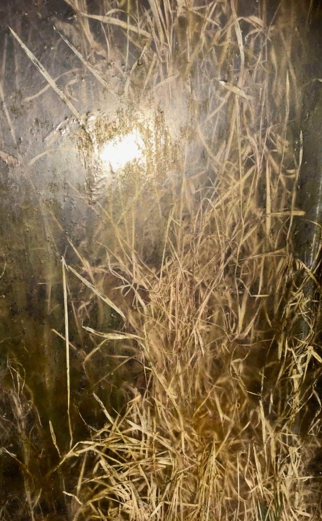 Image: Sarah O'Flaherty, Veiled 2 (Tunnel), 2018, chromogenic prints. Courtesy of the Artist.