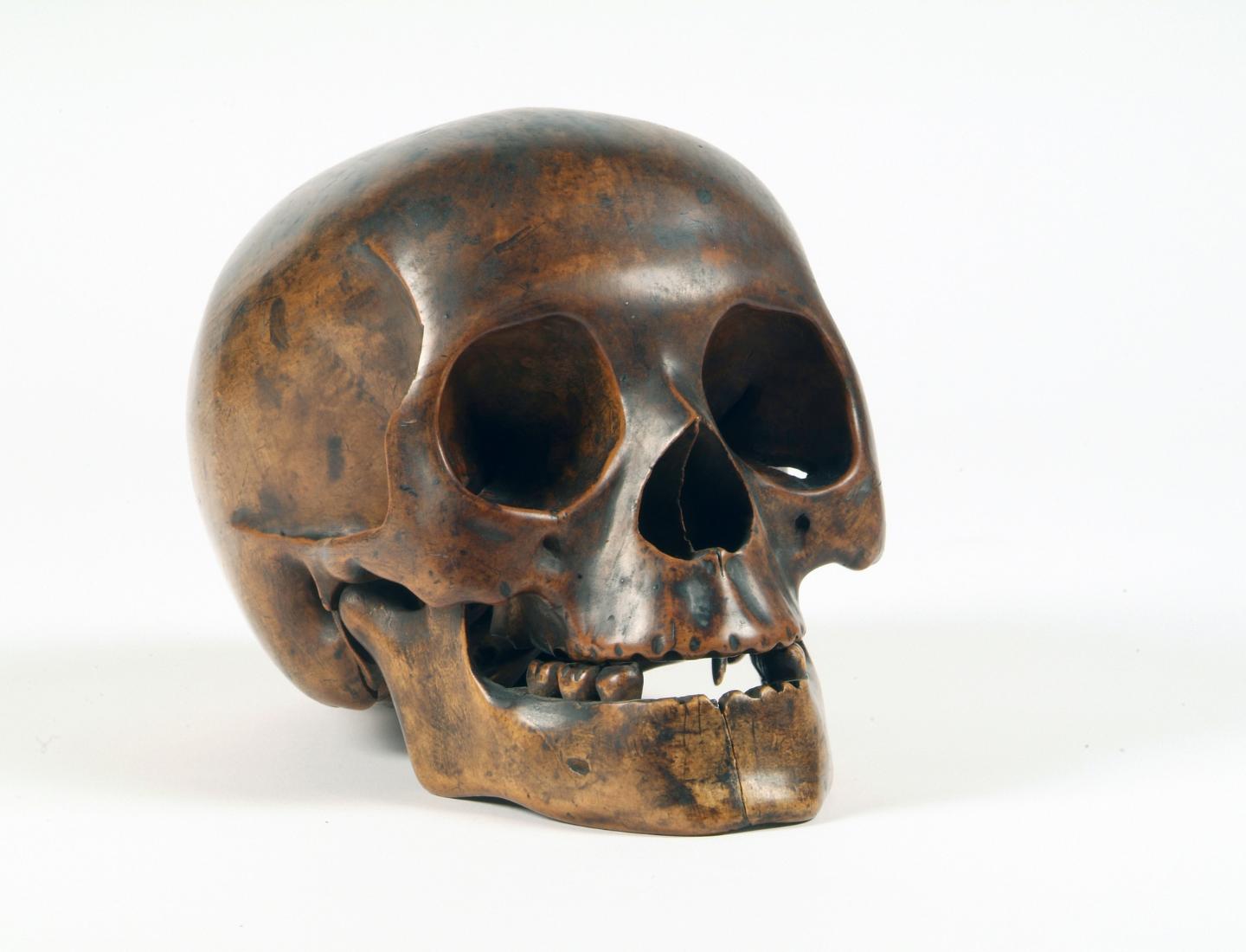 John Hogan, Female Skeleton including Skull, c.1819/20, wood, 14 x 22 x 13.5 cm. Presented, William Horatio Crawford, Esq.
