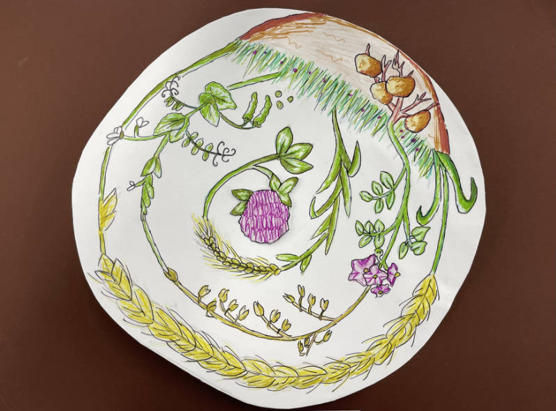 seedsOfSustainablility