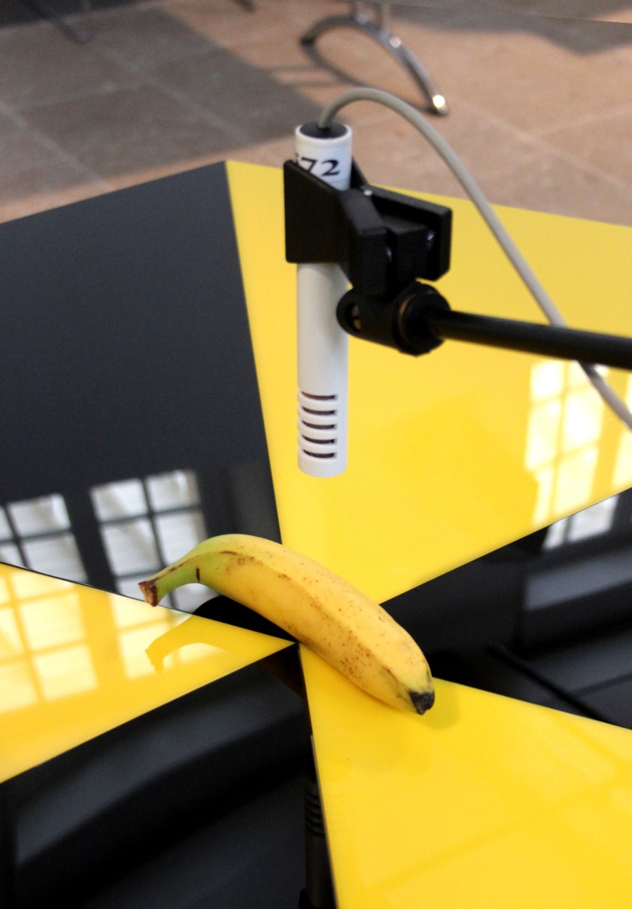 © The School of Looking, Ray Days 1. GAMMA (Banana Music)